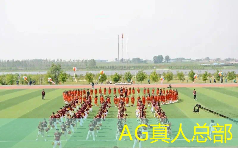 AG真人公司：熊出没的游戏3d游戏