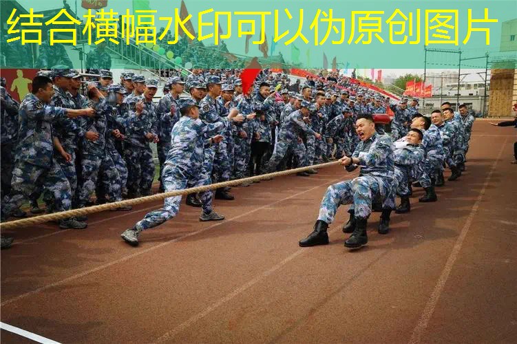 新闻图片