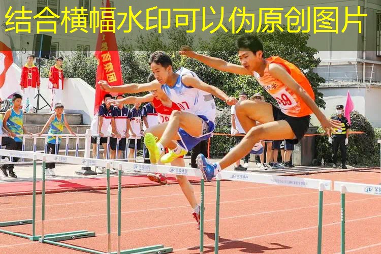 新闻图片
