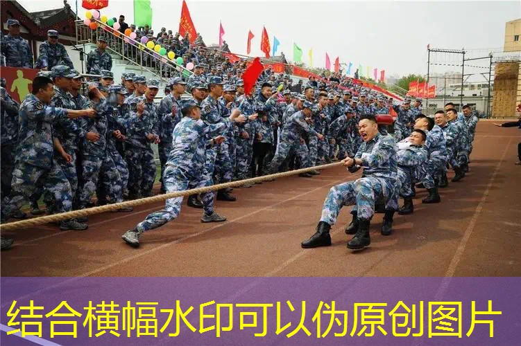 新闻图片