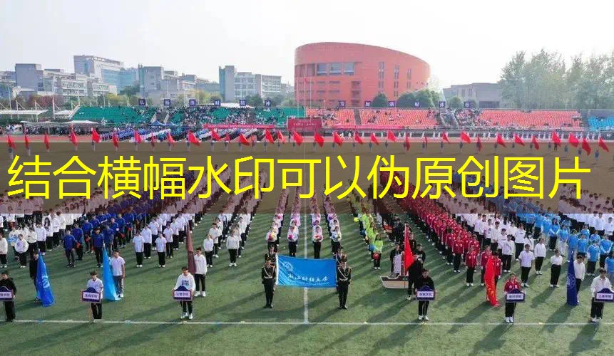 新闻图片