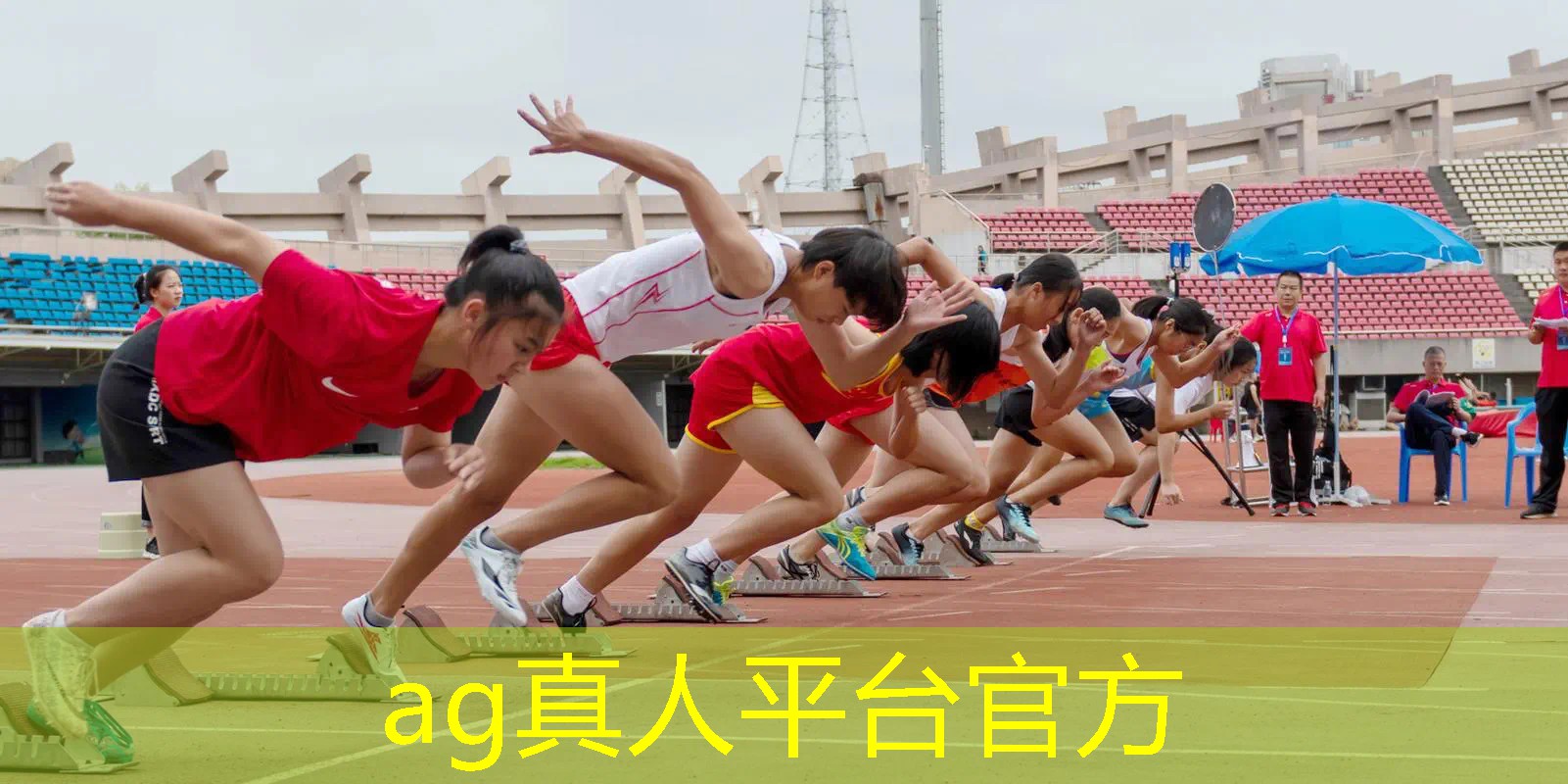 蟹堡王3d版游戏不是2d版的