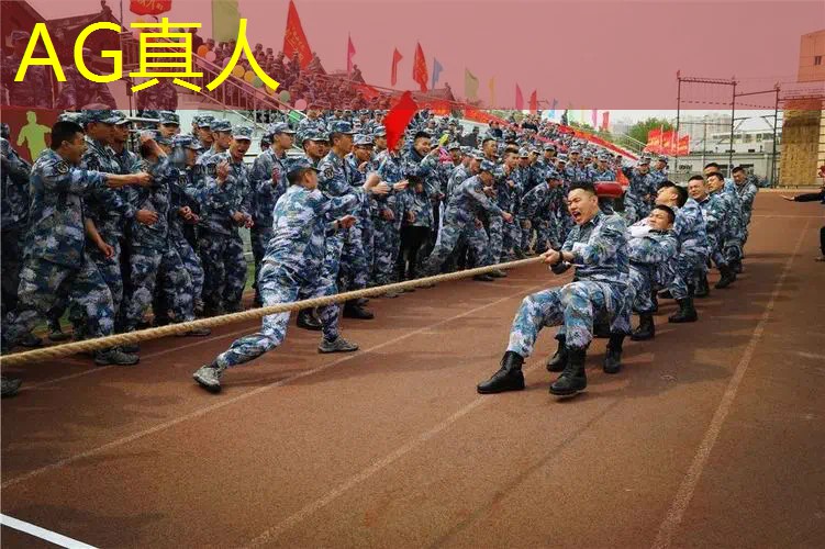 3d开放性手游游戏怎么玩
