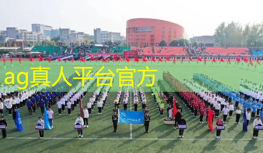 土豪模拟器3d游戏大全