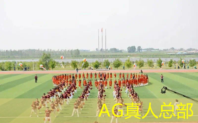 游戏ui设计宠物大全