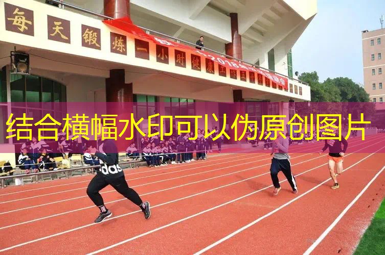 中式八球3d电脑游戏推荐