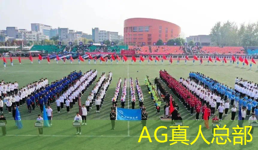 刀妹炫金原画游戏里
