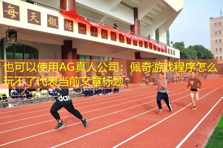 AG真人公司：佩奇游戏程序怎么玩不了