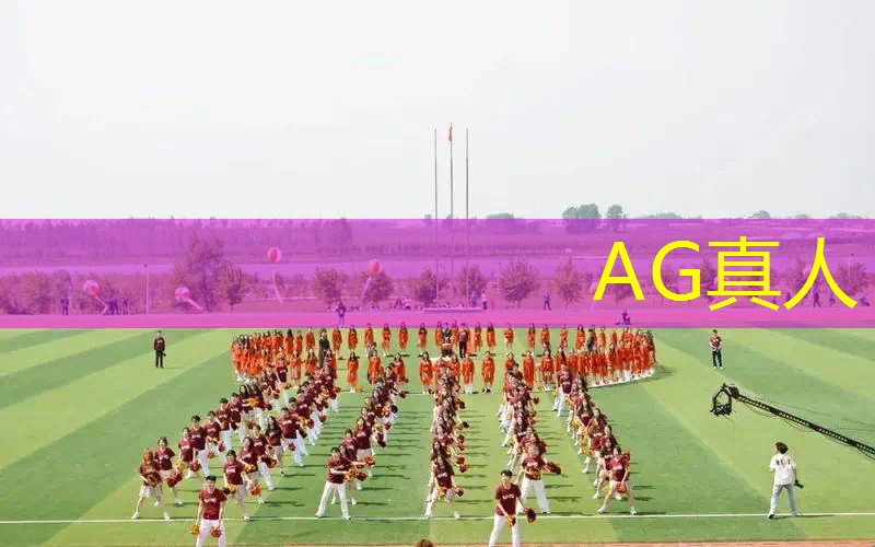 AG真人：什么是3d编程游戏