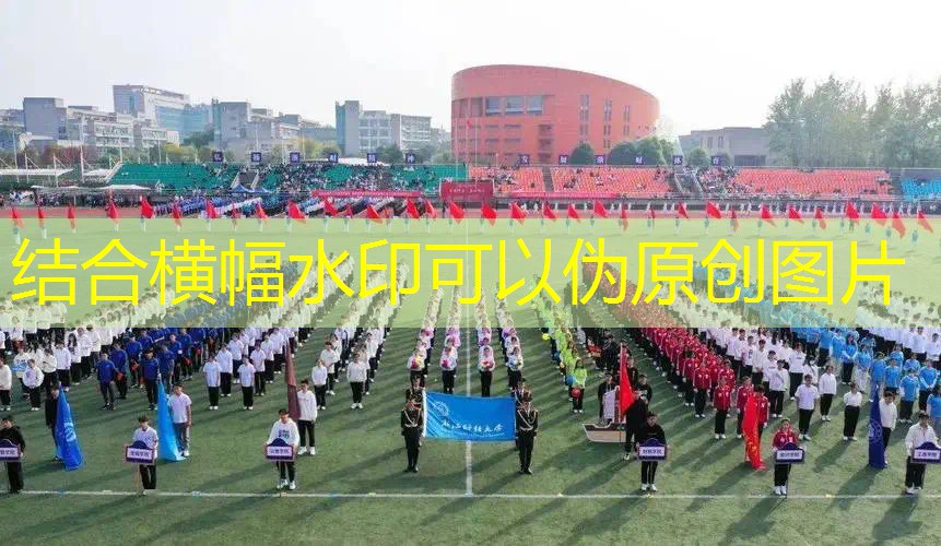 ag真人平台官方：经典3d动漫的游戏叫什么