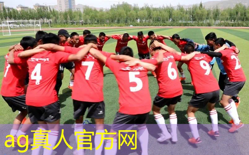 AG真人：计算机游戏转原画