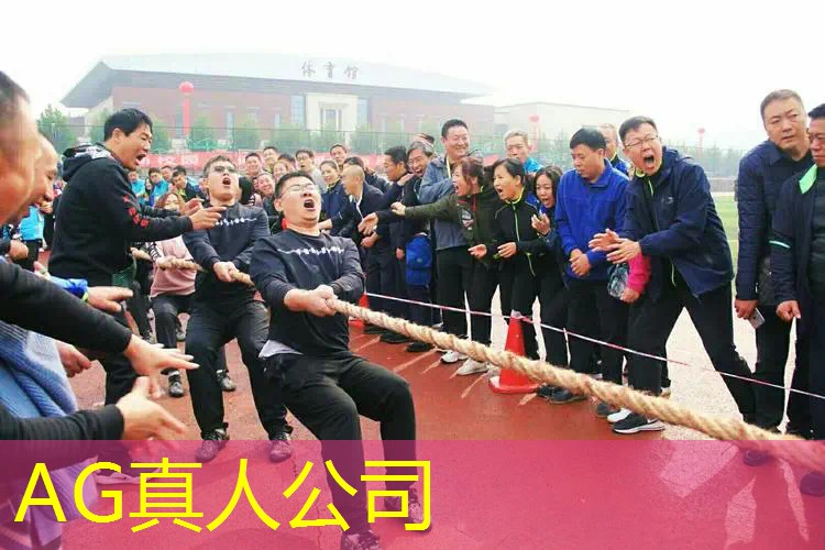 推荐超好玩3d小游戏